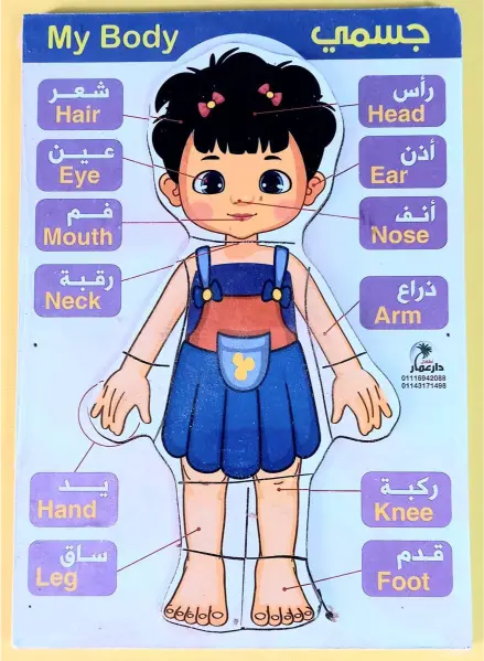 بازل تعليمي مع الحواس الخمس