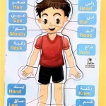 بازل جسم الولد والبنت للأطفال