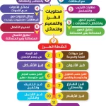 بطاقات تعليمية لتعليم الفرز والتماثل للأطفال
