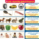 مجموعة التطابق والتصنيف للأطفال – إصدار رقم 31