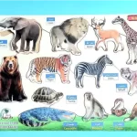 بازل حيوانات الغابة خشبي للأطفال
