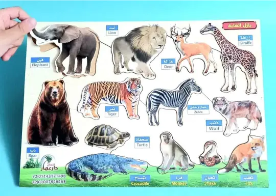 486572301_1137081098430621_5551750158073506666_n بازل حيوانات الغابة خشبي للأطفال