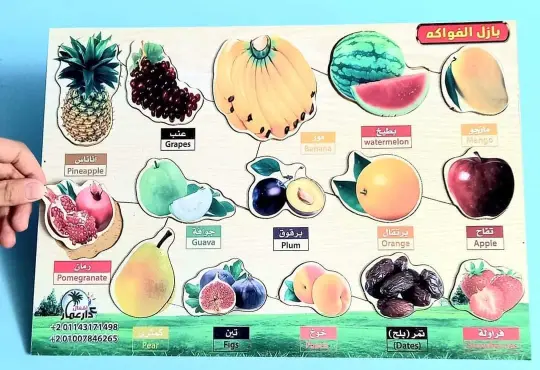 486662612_1137081095097288_5658709873024737477_n بازل الفواكه خشبي للأطفال
