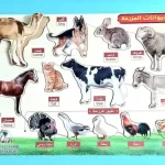 بازل حيوانات المزرعة خشبي للأطفال