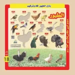 بازل تعليمية لتعلم أسماء الطيور