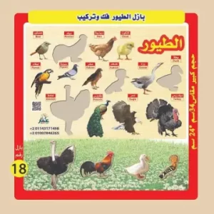 بازل تعليمية لتعلم أسماء الطيور