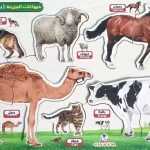 لوحة بازل قطعتين حيوانات