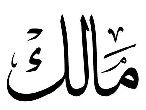 استيكر فينيل اسم "مالك" بالخط العربي الفاخر